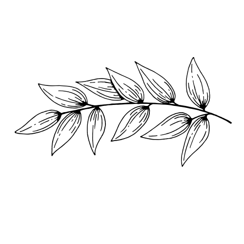 5F3EF0F6-CBDF-4B72-B716-BDCFF6